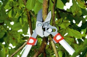 Wolf Garten RS 900 T Yüksek Kalın Dal Budama Makası