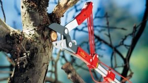 Wolf Garten RC-M Örs Tipi Yüksek Dal Makası