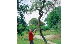 Wolf Garten RC-M Örs Tipi Yüksek Dal Makası